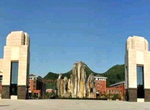 �й���ƶ�뷢չ�о�Ժ