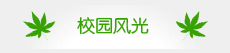 校园风光